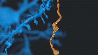 note changed location of blue branch wtf mate