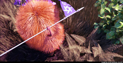 hunter_3.jpg