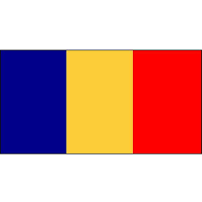 flag example.png