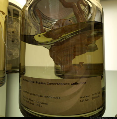 &quot;Preservation&quot; 3