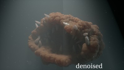 denoise.01.jpg
