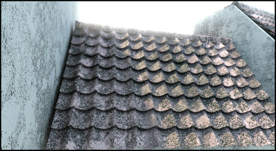shingle1.jpg