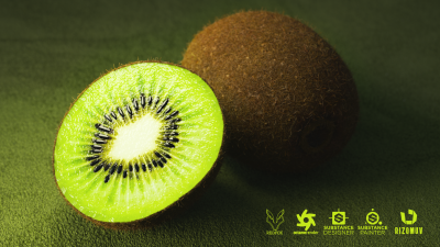 Kiwi.png