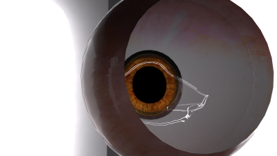 P3D May eye inside Octane 01.png