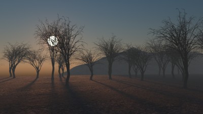 FOG TREES.jpg