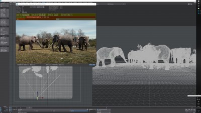SharedScreenshot_ELEPHANTs.jpg