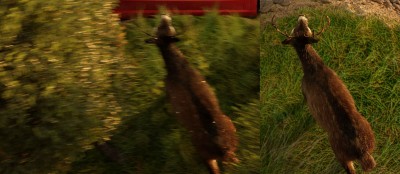 Deer_Hair_MB_Full.jpg