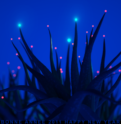 Magical Aloe Vera: <br />i added some glow in post, light is from night sky located in Martinique on early January + some blackBodiesplanes and all the light bubles:-)