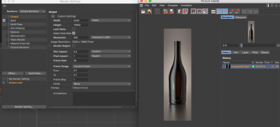 No Render Region