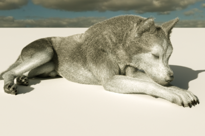 Husky 1 - Daz Strand based Hair