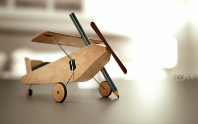SKYFLY_EricDesign2011.jpg