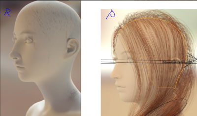 hair.PNG