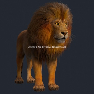 Lion - Full