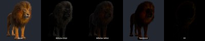 Render Passes for lion