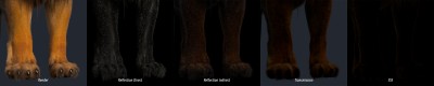 Lion-Legs-LightFromLeft.jpg