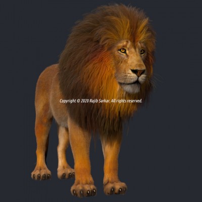 Lion-LightFromFrontRight.jpg