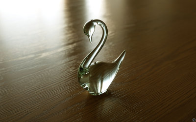 Swan