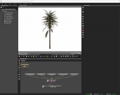 palm_SA.jpg