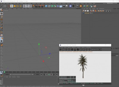 palm_C4D.jpg