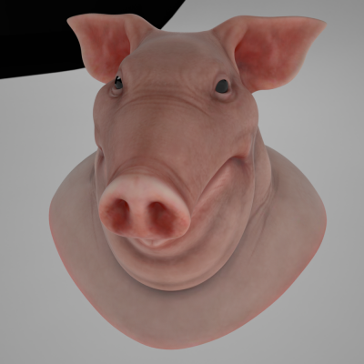 Octane Light Render