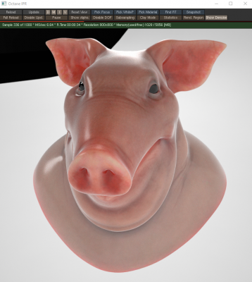 pig.png