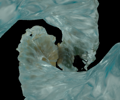 the fluid