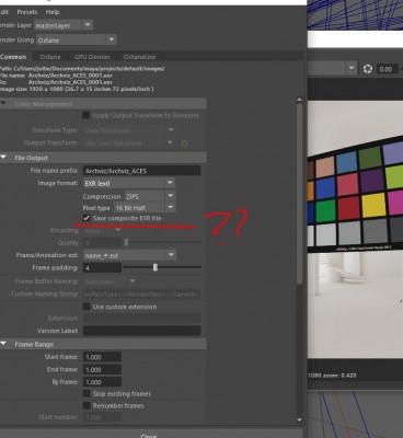 DCC plug missing options???