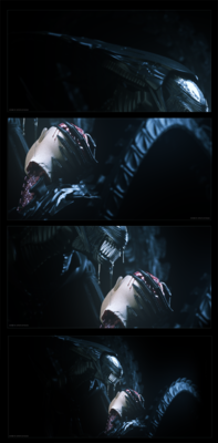 jp_comp_bloom50.png