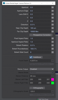 Camera Thin Lens Settings.png