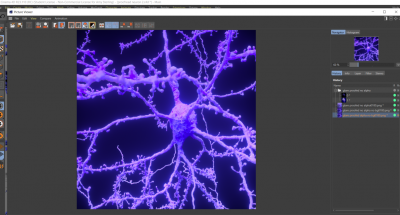 picture viewer showing blur on file that does not actually have blur when opened in another program