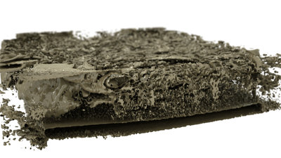 The colon mucosa