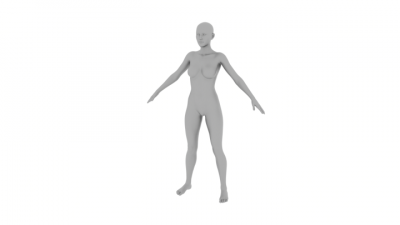 Perspective View render before the problem