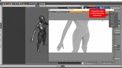 incorrect Perspective View after the problem
