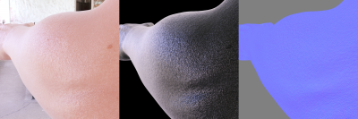 Jacqueline 8.1's arm with micro detail applied.