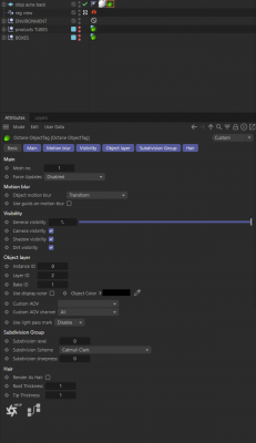 ObjTag settings