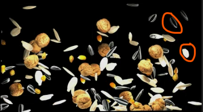 Screenshot 2022-10-10 151243.png