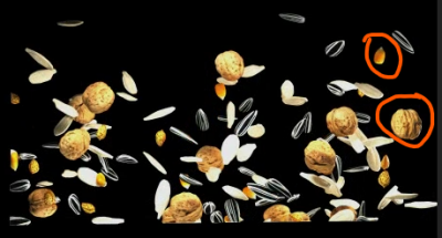 Screenshot 2022-10-10 151343.png