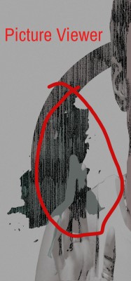 Picture Viewer example FORUM post.jpg