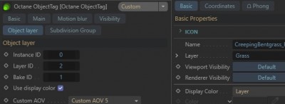 display_color__layer.jpg