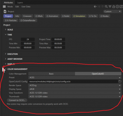 C4D Project Setting Aces