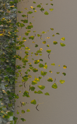 Screenshot 2023-07-23 182248.png