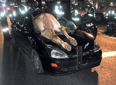 accident.jpg