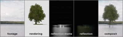 Tree_Reflectins.jpg