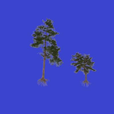 pine_problem.png