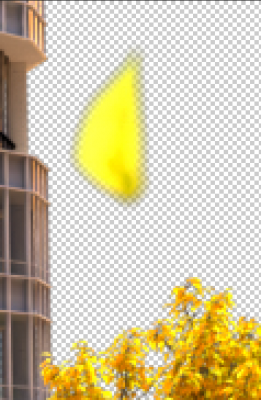 Denoised Beauty