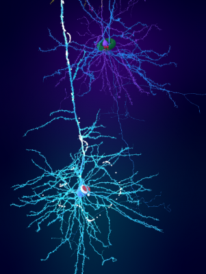 image (143).png