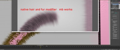 hair and fur mb  works.jpg
