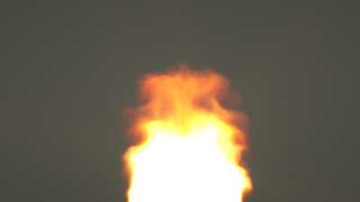 vdb exported edge .jpg