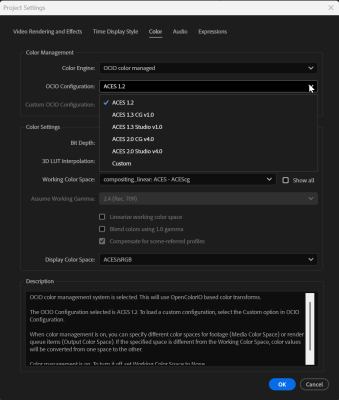 AEProject Settings.png