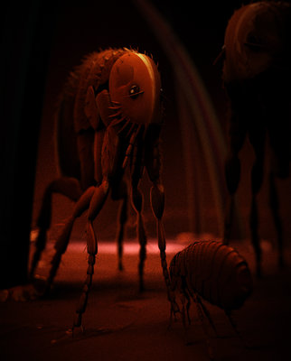Flea_Scolding_JPG.jpg